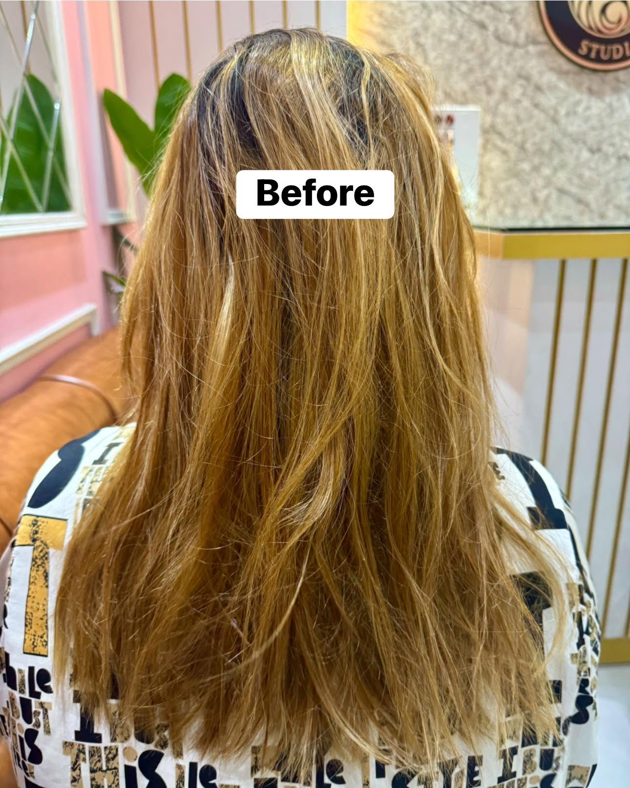 Hair color transformation before